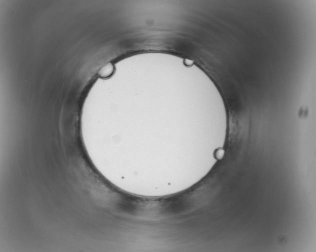 X0000113640301200909181336