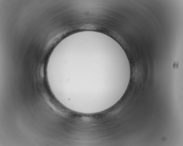 X0000113640302200909181336