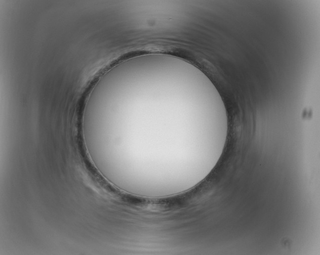 X0000113640303200909181336