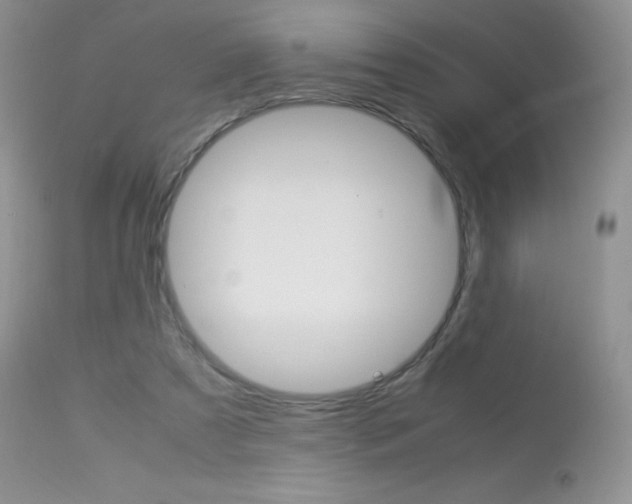 X0000113640305200909181336