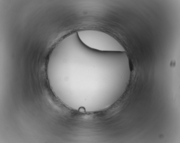 X0000113640306200909181336