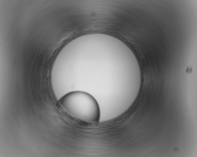 X0000113640308200909181336