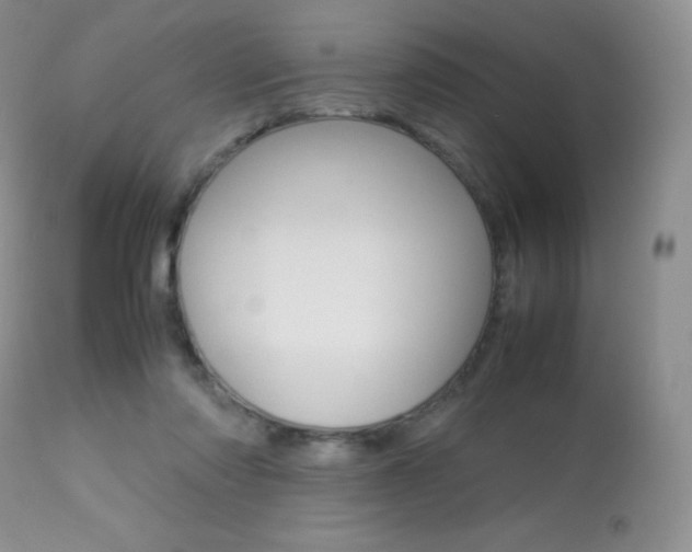 X0000113640310200909181336