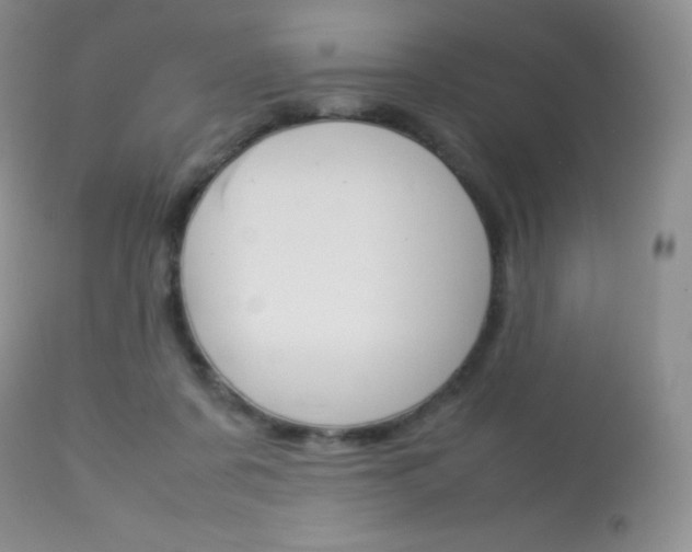 X0000113640311200909181336