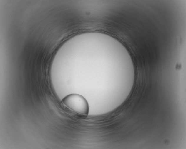 X0000113640312200909181336