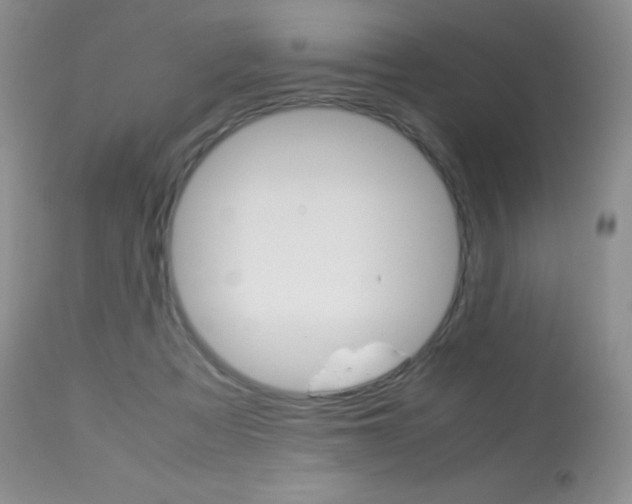 X0000113640313200909181336