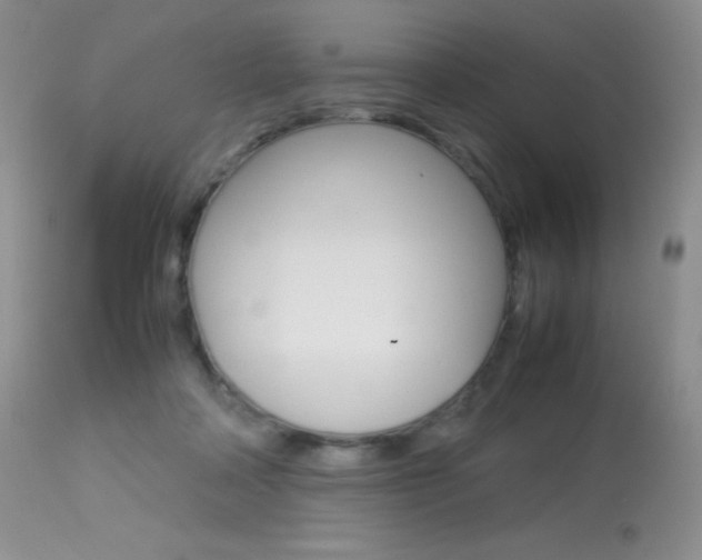 X0000113640314200909181336