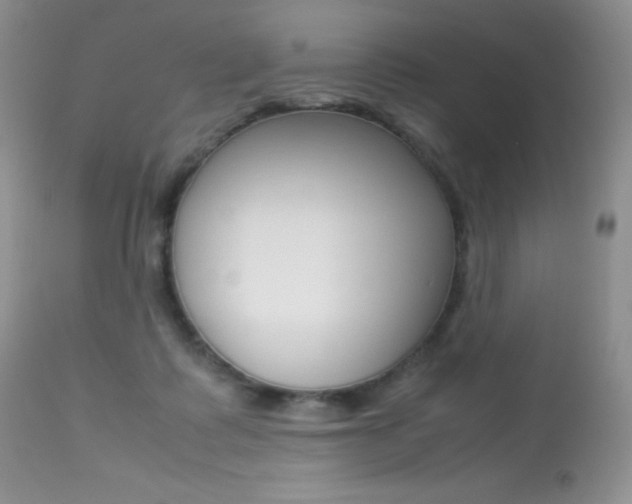 X0000113640315200909181336