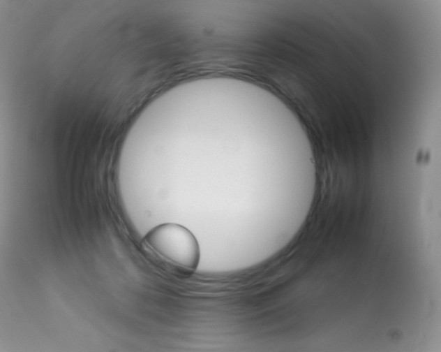 X0000113640316200909181336
