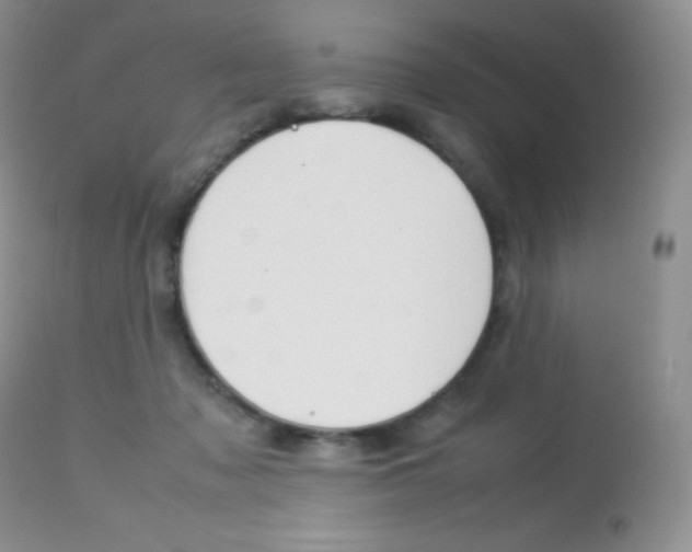 X0000113640317200909181336