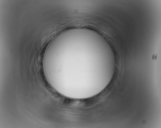 X0000113640319200909181336