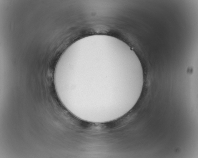 X0000113640321200909181335