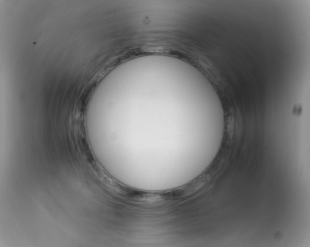 X0000113640322200909181335