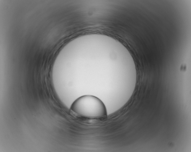 X0000113640324200909181335