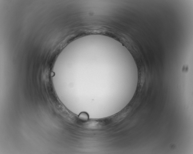 X0000113640326200909181335