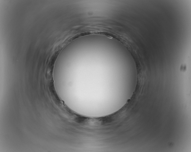X0000113640327200909181335