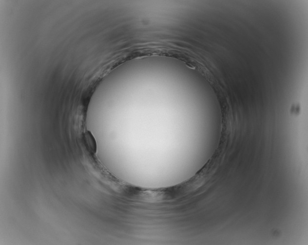 X0000113640328200909181335