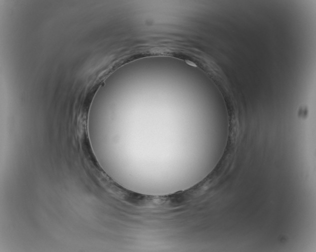 X0000113640329200909181335