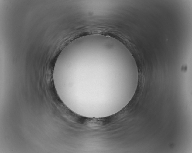 X0000113640331200909181335