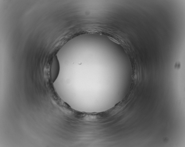 X0000113640332200909181335