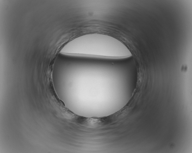 X0000113640333200909181335