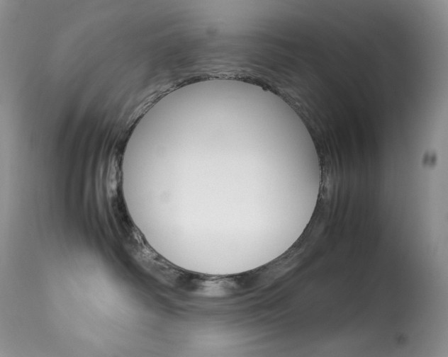 X0000113640334200909181335