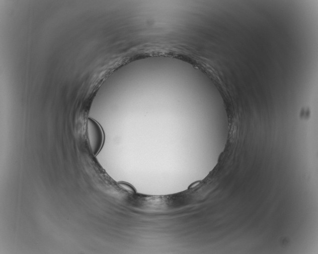 X0000113640335200909181335