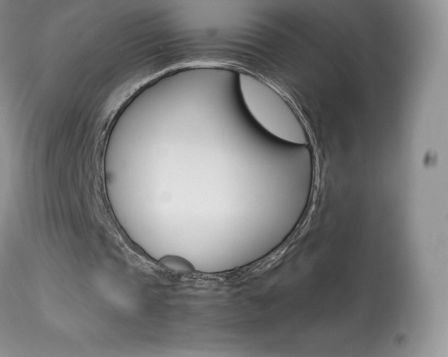X0000113640337200909181334