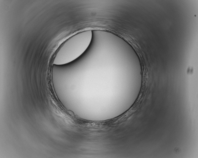 X0000113640338200909181334