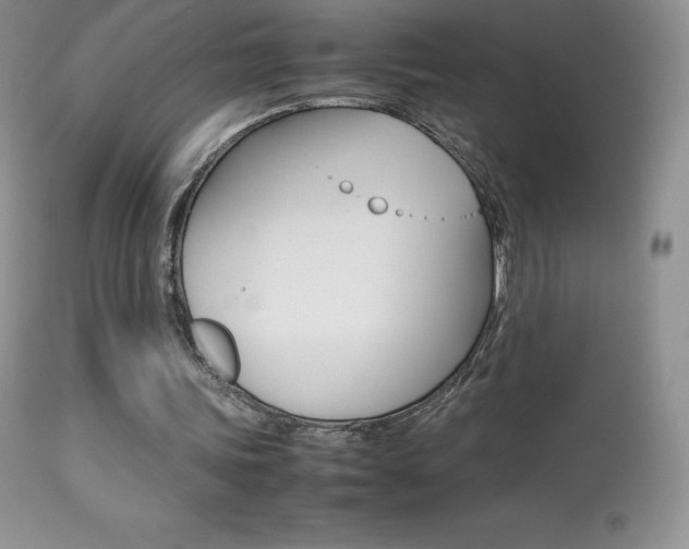 X0000113640339200909181334