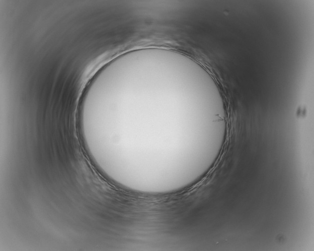 X0000113640340200909181334