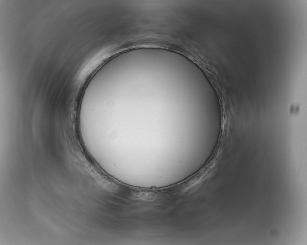 X0000113640341200909181334