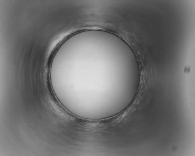 X0000113640342200909181334