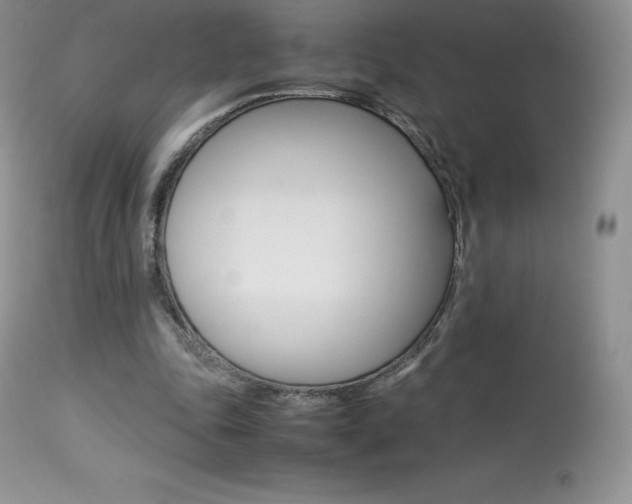 X0000113640343200909181334