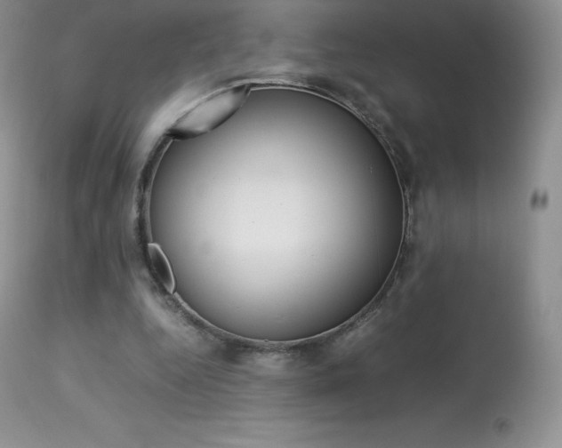X0000113640344200909181334