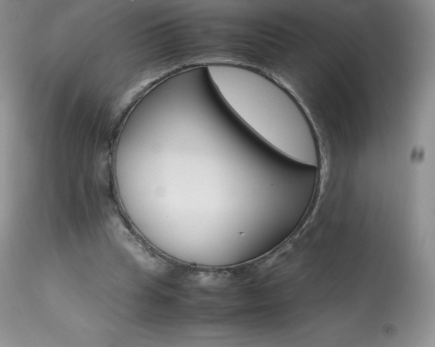 X0000113640345200909181334