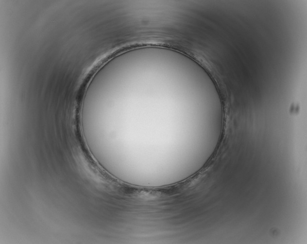 X0000113640346200909181334