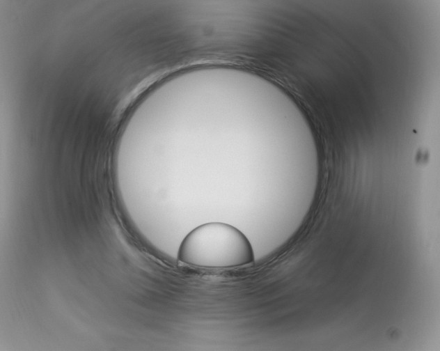 X0000113640348200909181334