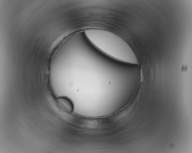 X0000113640349200909181334
