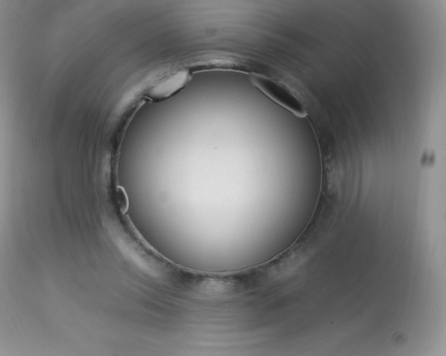 X0000113640350200909181334