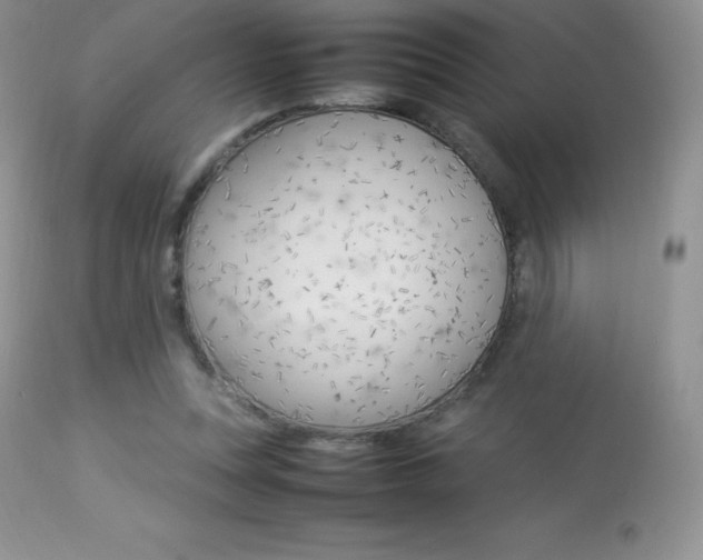 X0000113640351200909181334