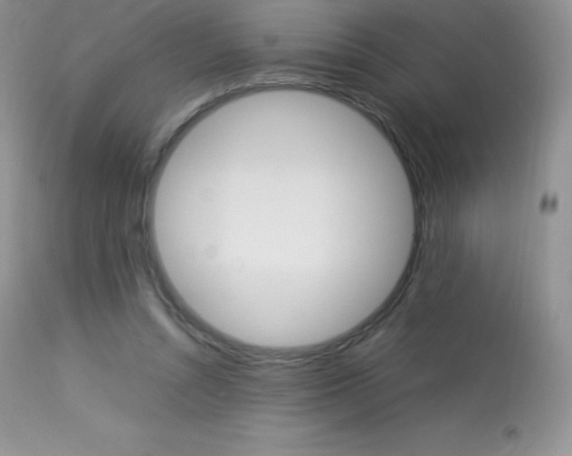 X0000113640352200909181334