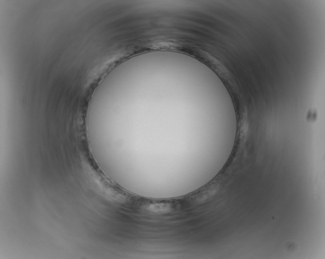 X0000113640353200909181335