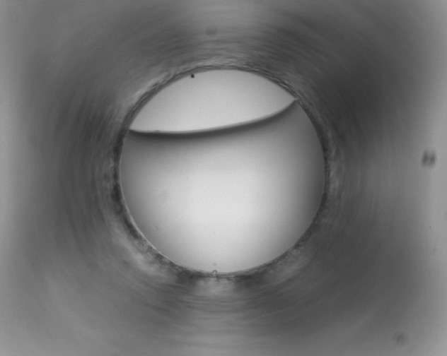 X0000113640354200909181335