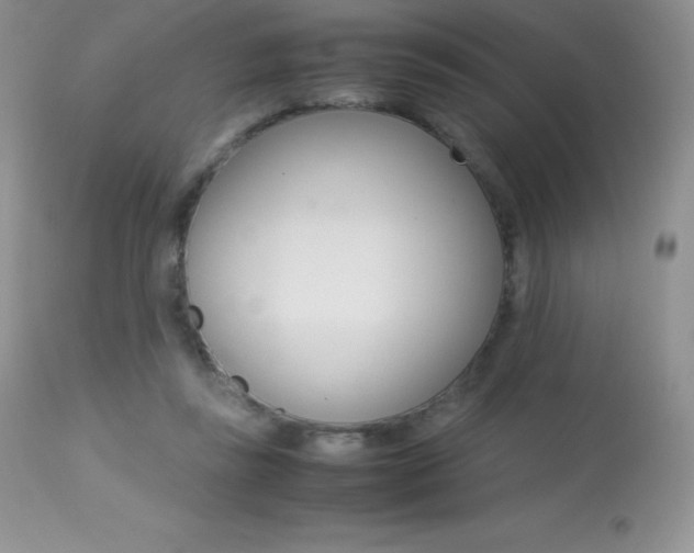 X0000113640355200909181335