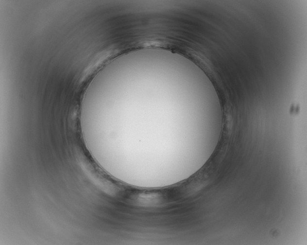 X0000113640357200909181335