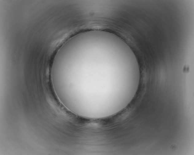 X0000113640358200909181335