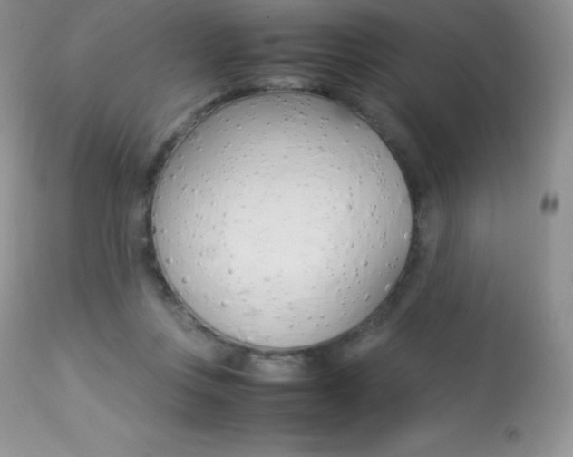 X0000113640359200909181335