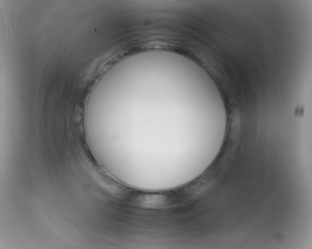 X0000113640361200909181335