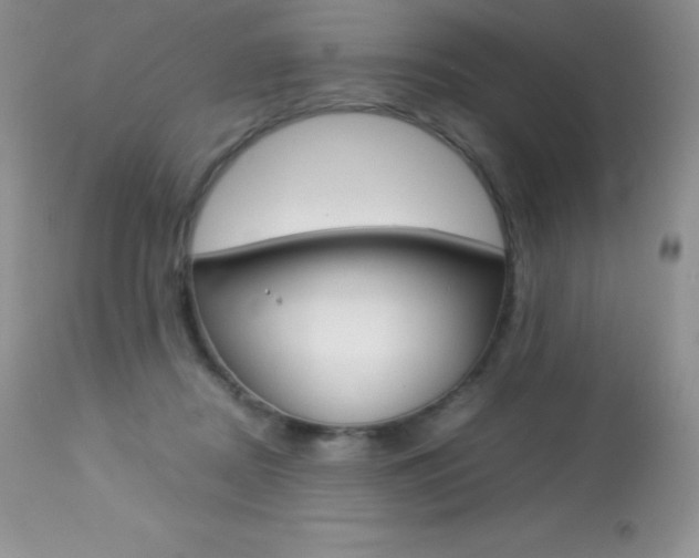 X0000113640362200909181335